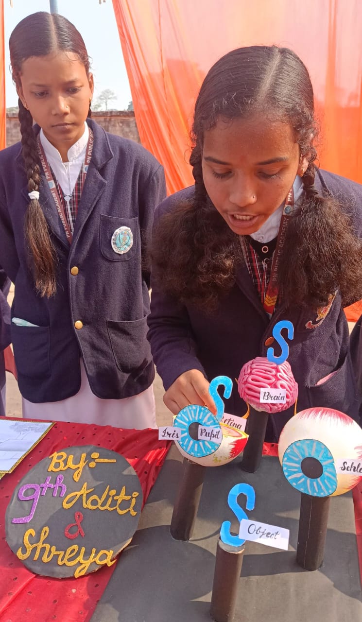 पीएनपीए में आयोजित हुए विज्ञान कला, प्रदर्शनी में छात्रों ने दिखाया हुनर !